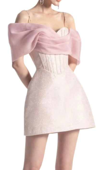 Achazia Pink Corset Mini Dress